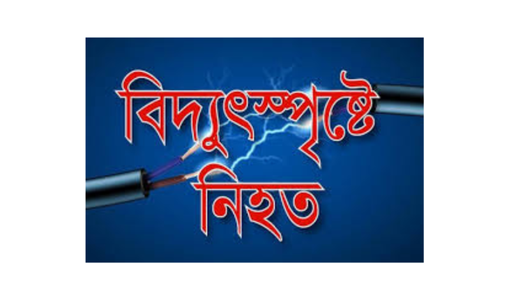 বিদ্যুৎস্পর্শে যুবক নিহত কসবায়,