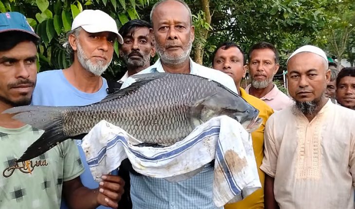 কাতলা মাছ ধরে পুরুস্কার পেলেন তিন লাখ টাকা