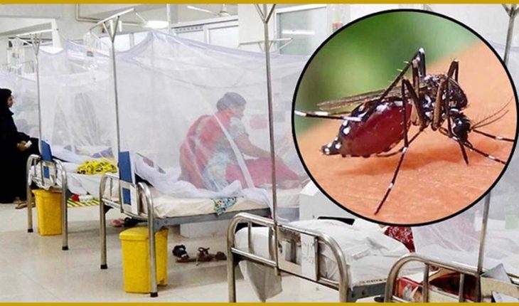 ডেঙ্গুতে শিশুসহ ২ জনের মৃত্যু, নতুন রোগী ৬২৫